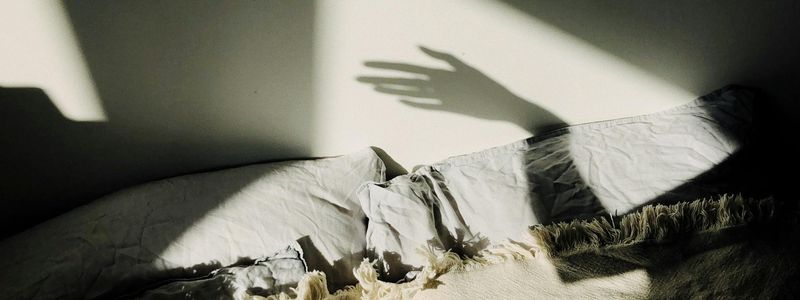 Soft shadows on a wall representing a calm morning atmosphere.